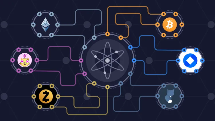 Celer ecosystem components